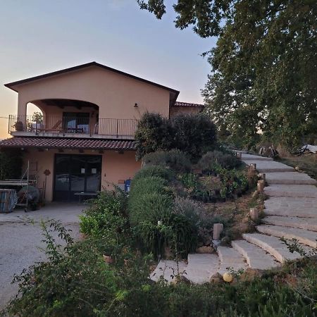 La Residenza Di Campagna Pensionat Manciano Exteriör bild