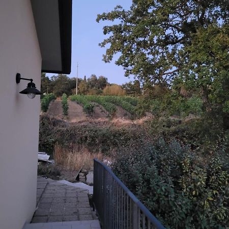 La Residenza Di Campagna Pensionat Manciano Exteriör bild