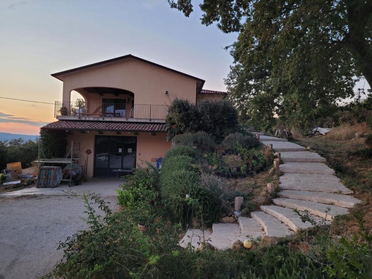 La Residenza Di Campagna Pensionat Manciano Exteriör bild