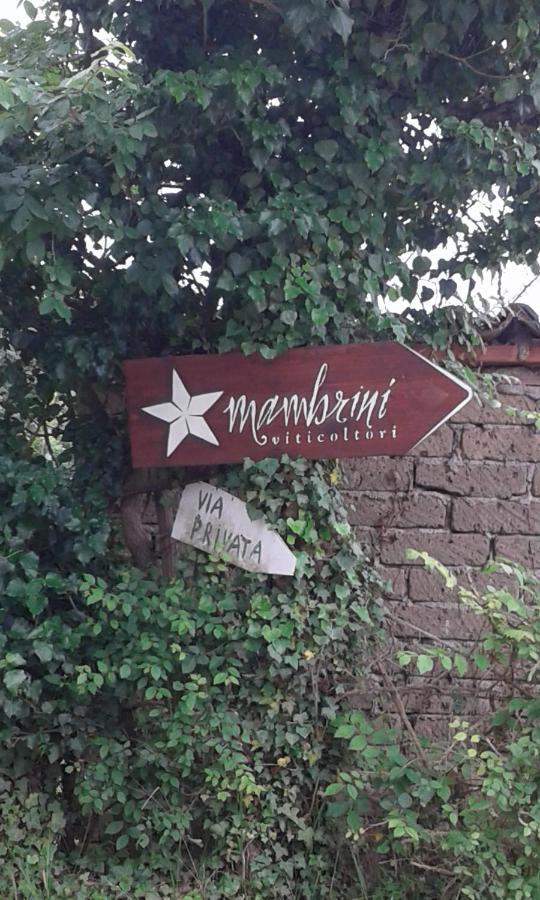 La Residenza Di Campagna Pensionat Manciano Exteriör bild