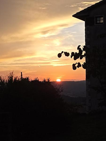 La Residenza Di Campagna Pensionat Manciano Exteriör bild