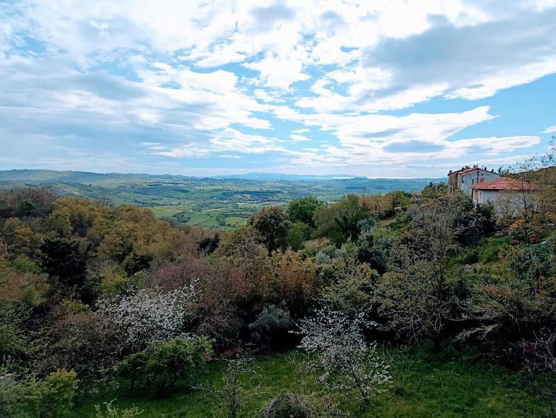 La Residenza Di Campagna Pensionat Manciano Exteriör bild